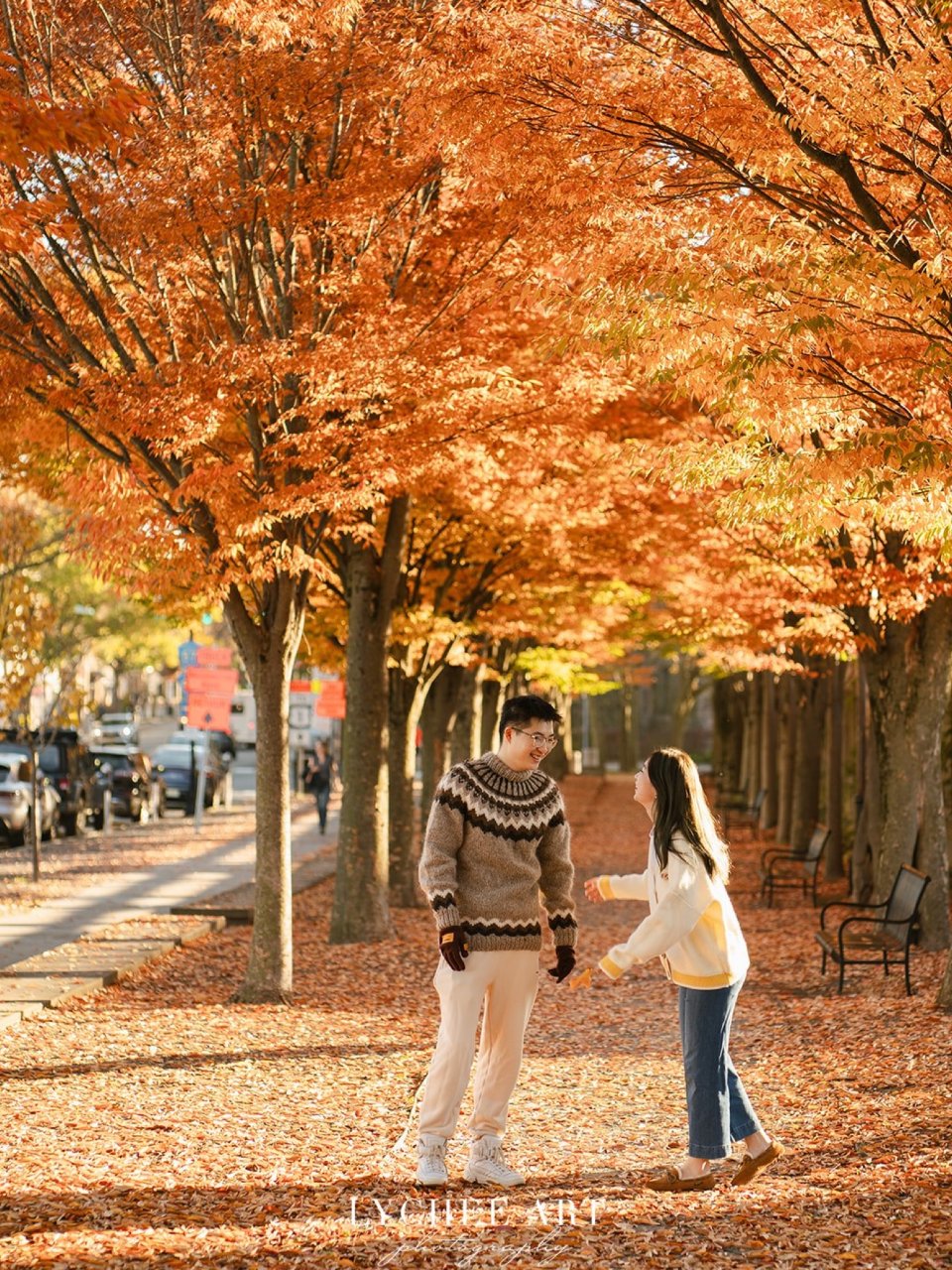 普林斯顿校园的秋天🍂拍到了日漫中的风景...