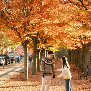 普林斯顿校园的秋天🍂拍到了日漫中的风景...