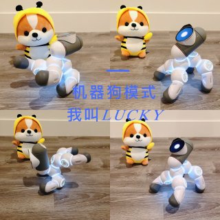 高品质STEAM教育理念编程机器人｜【ClicBot】