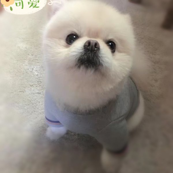 晒货图片