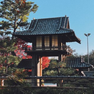 今日份邀你云游日本花园｜手机摄影｜202...