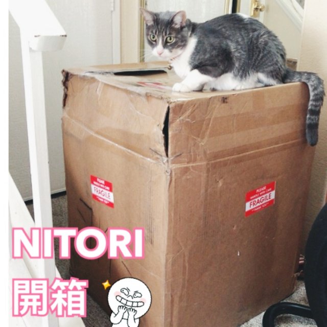 開箱✨Nitori傢俱收納好物&日...