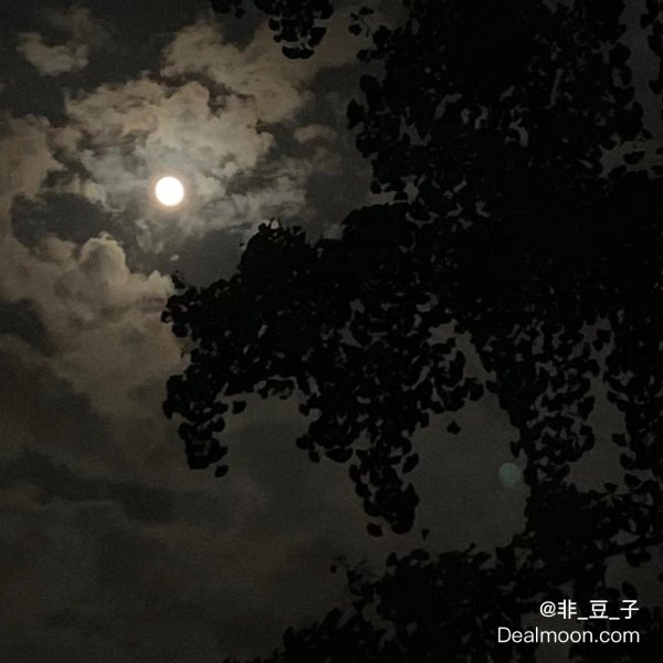 晒货图片