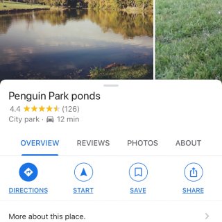 夏日漫步-Penguin Park Po...