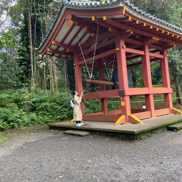 晒货图片