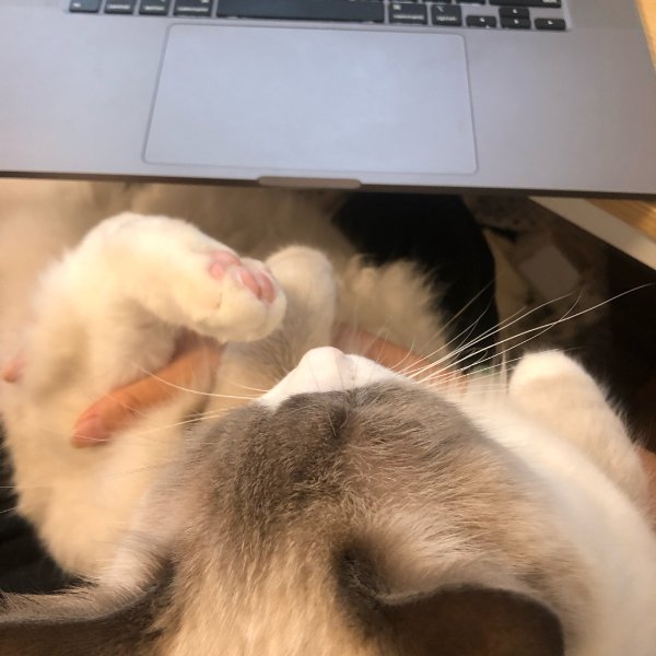 晒货图片
