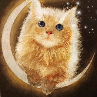 原创彩色铅笔插画教程|🌙🌙月亮上的小猫咪...
