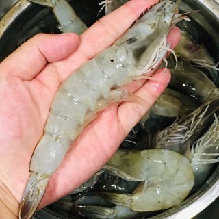 油焖大虾,海鲜控
