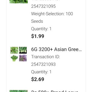 我在Etsy买亚洲蔬菜种子｜ 夏天种什么...