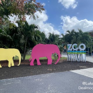 迈阿密动物园游记...