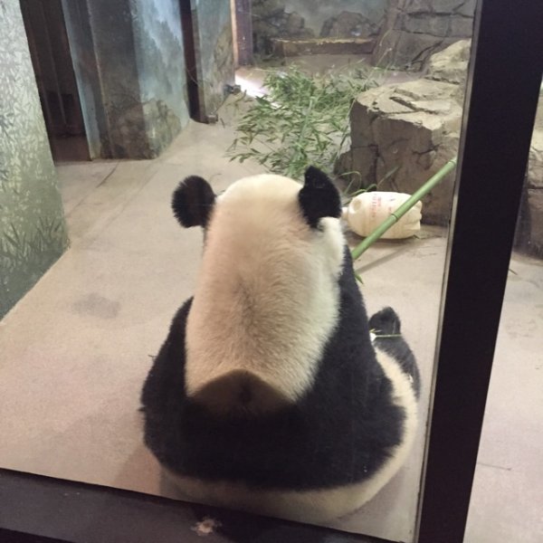晒货图片