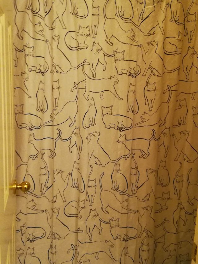 Marshall家居用品分享