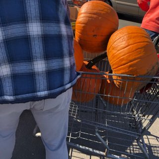 Pumpkin Day～ $1 一大颗🎃...