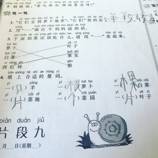 晒货图片