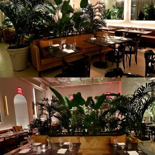 【探店】绿色视觉💚都市花园餐厅yyds🍃...