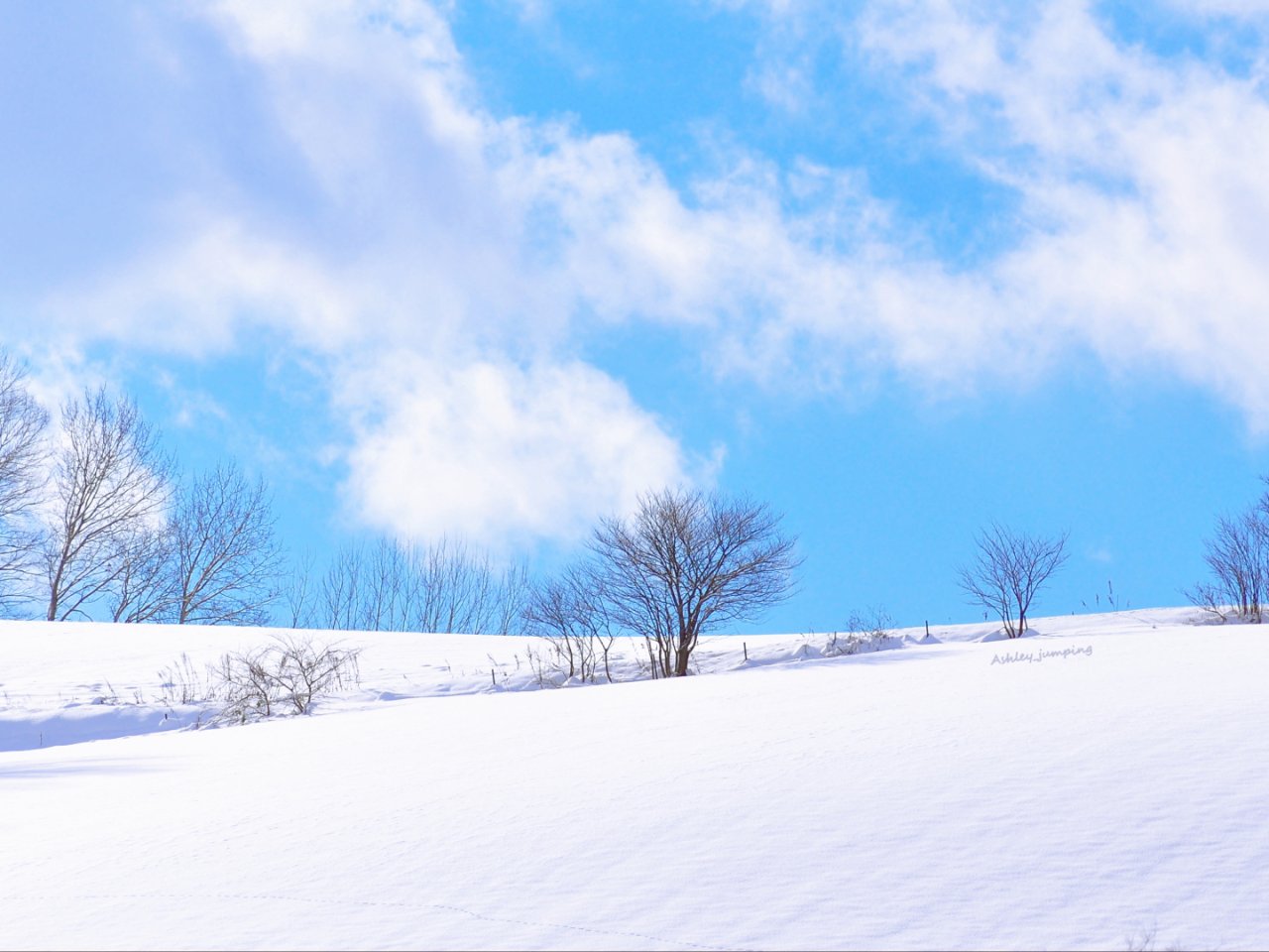 有一种美叫❄️北海道の雪...