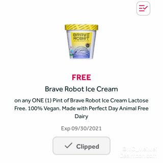 Brave Robot｜純素食冰淇淋 ·...