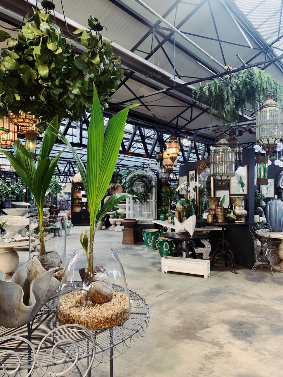 芝加哥市区最美园艺店🌳这是个室内植物园吧...