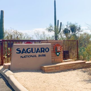 Saguaro National Par...