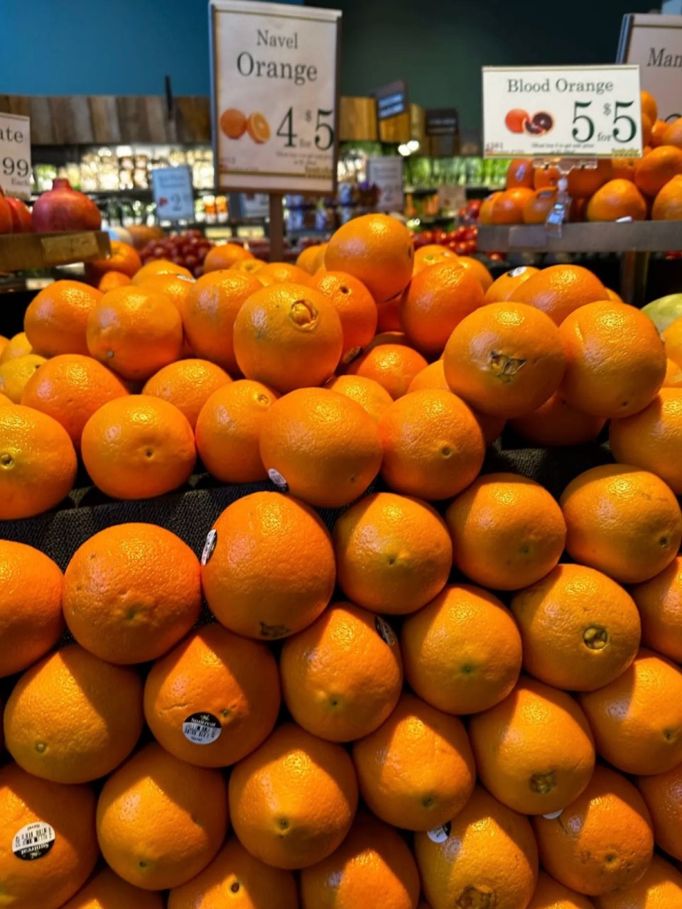 橙子🍊