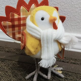 Target的可爱小鸟🐦...