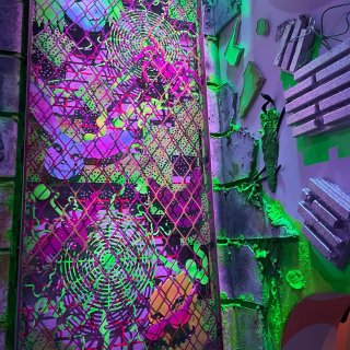 Meow Wolf 奇幻屋 🍄🪸 拍照好...
