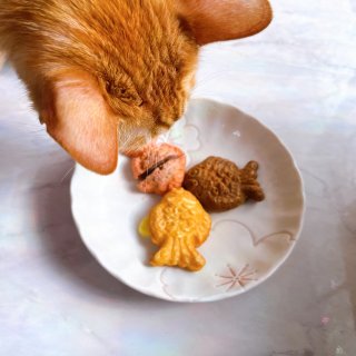 Costco甜品🥰日式迷你鲷鱼烧，三种口...
