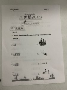 Lingoace 网上中文教学使小孩有学习的兴趣