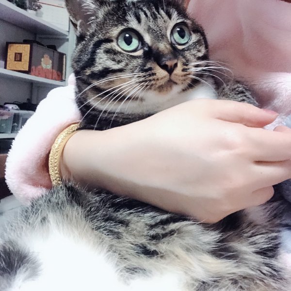 晒货图片