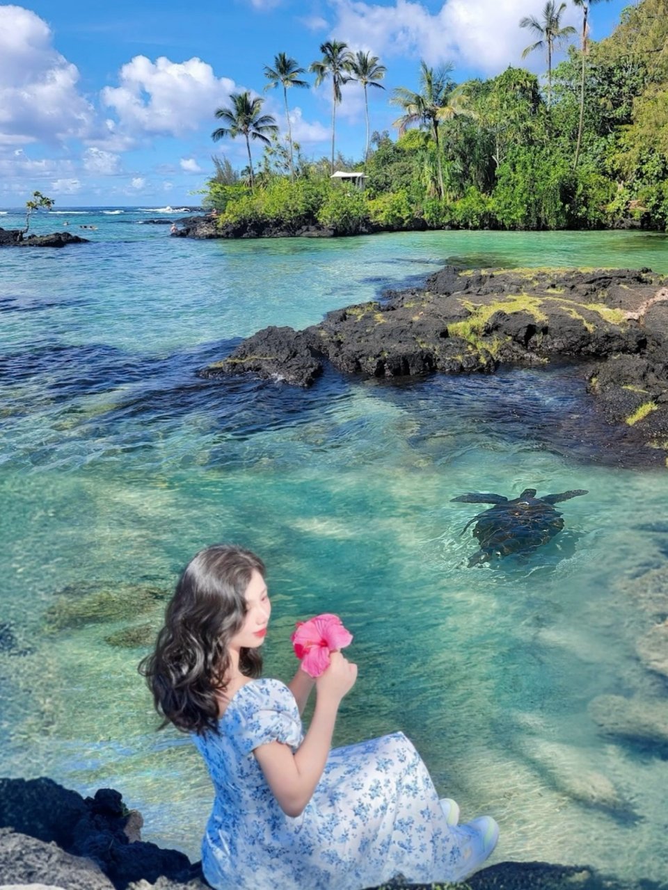 夏威夷大岛🌺能和海龟游泳的油画般海滩！...