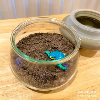 夏日嘉年華10｜Target淘好物｜蘑菇...