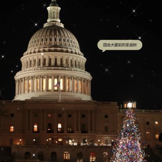 来首都华盛顿DC过圣诞节吧🎄附9个打卡点...