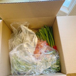 新鮮蔬菜🥬送到家！...