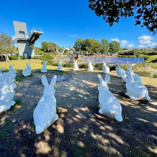 Newport Beach 兔子🐰公园...