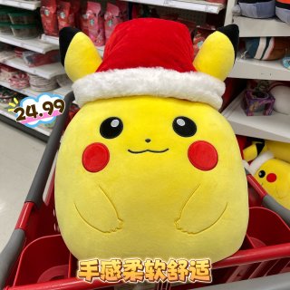 Pokémon Pikachu 14