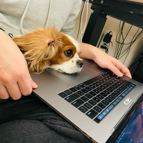 晒货图片