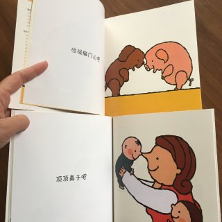 中文童书推荐：奇迹小宝宝·初次见面绘本系...