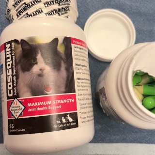 兽医推荐的猫猫关节保健品nutramax...