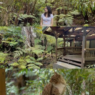 夏威夷｜大岛星空下的热带雨林别墅+黑沙滩...