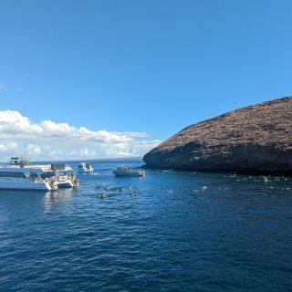夏威夷💫月亮湾浮潜Tour🤿 碾压鲨鱼体...