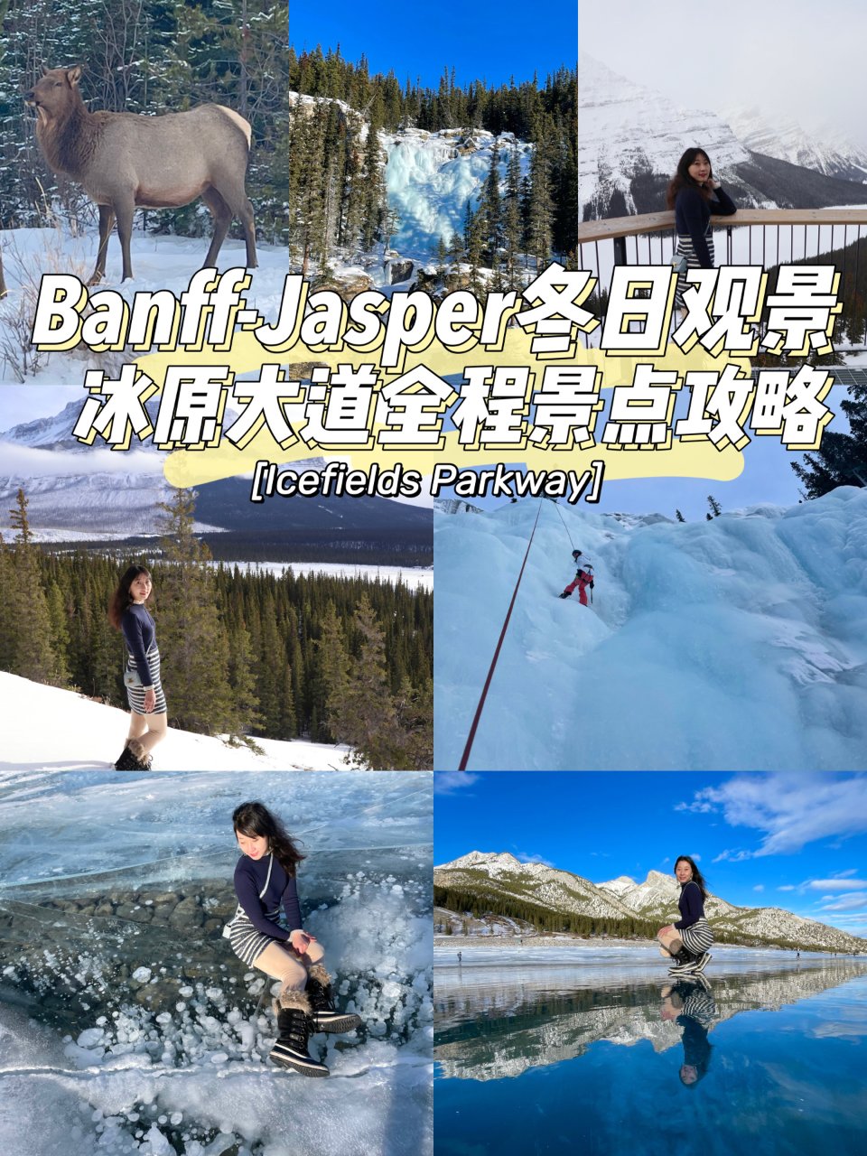 Banff- Jasper｜冬日观景冰原...