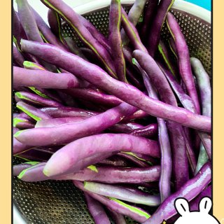 【八月-19】吃豆豆的季节...