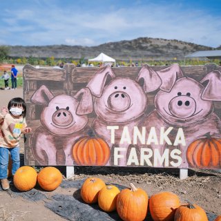Tanaka Farms