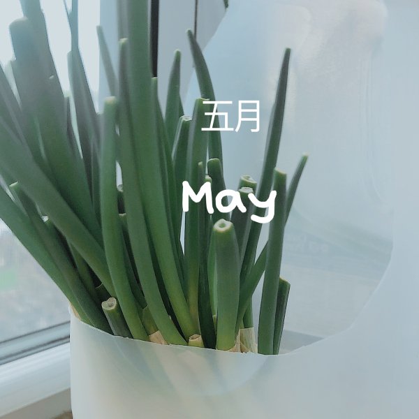 晒货图片