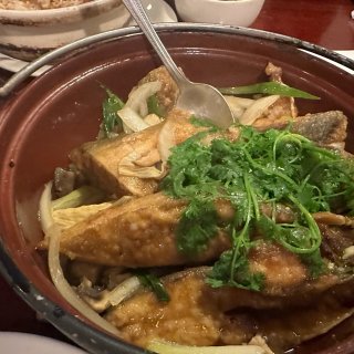 在PA找到一家好好吃的中餐点 U&Tea...