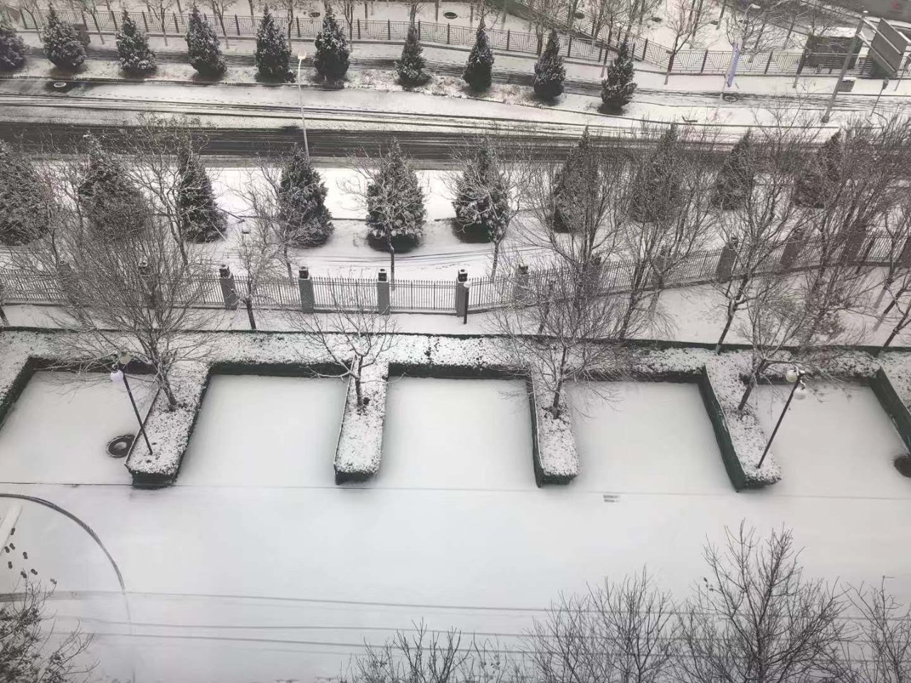 北京初雪❄️