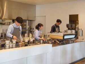 扣肉の日本之旅 | 东京咖啡探店 | Blue Bottle