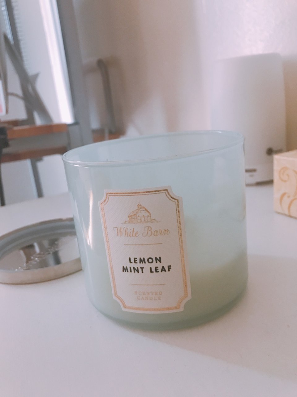 5月晒货挑战,Bath & Body Works,lemon mint leaf