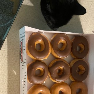 猫咪,Krispy Kreme Doughnuts KK美国甜甜圈