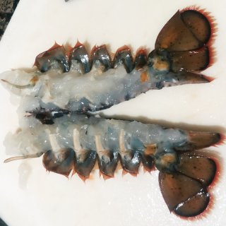 【感恩节】美食-葱姜龙虾尾...